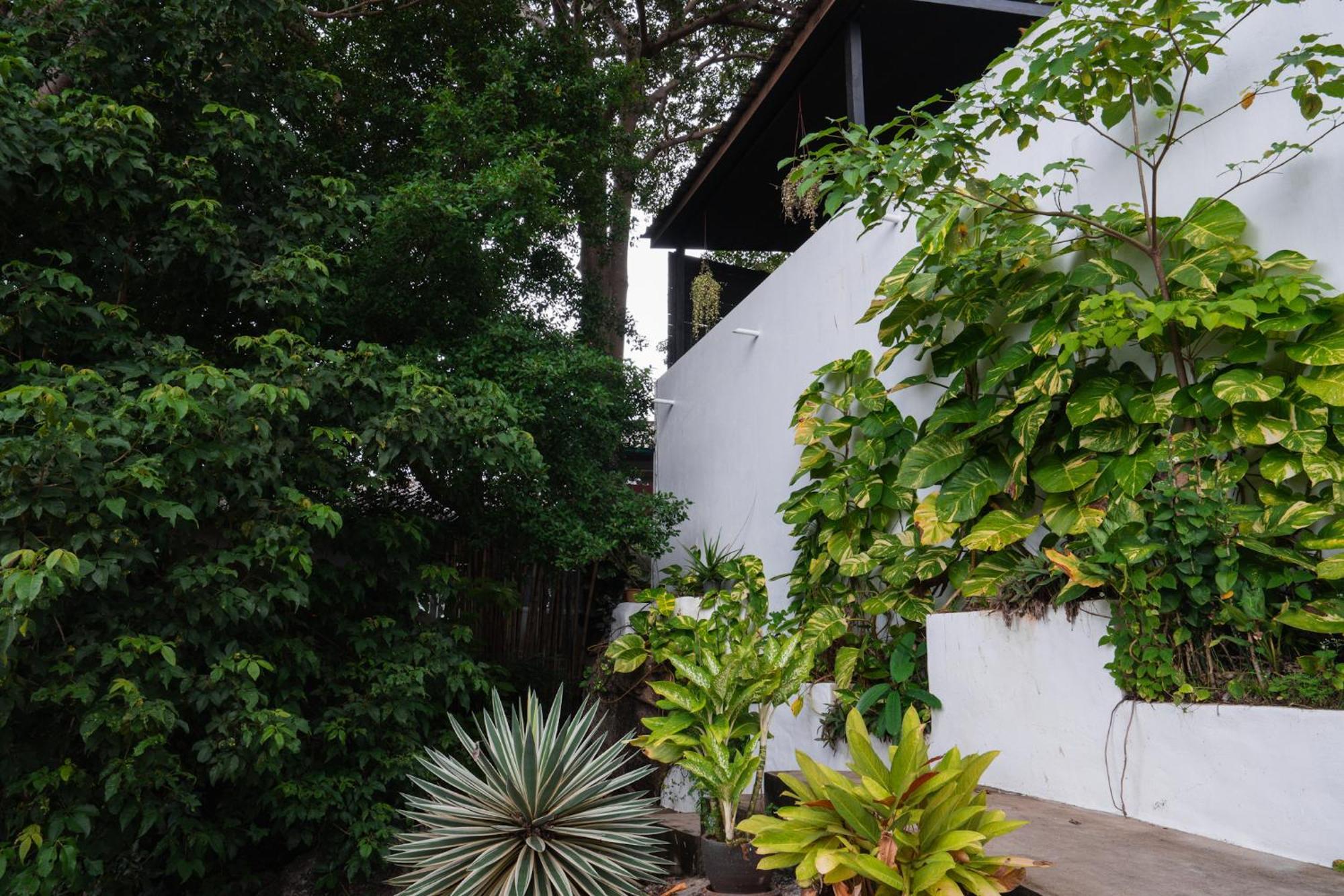 Lunar Villas Koh Tao - Luxury Private Pool Villas エクステリア 写真